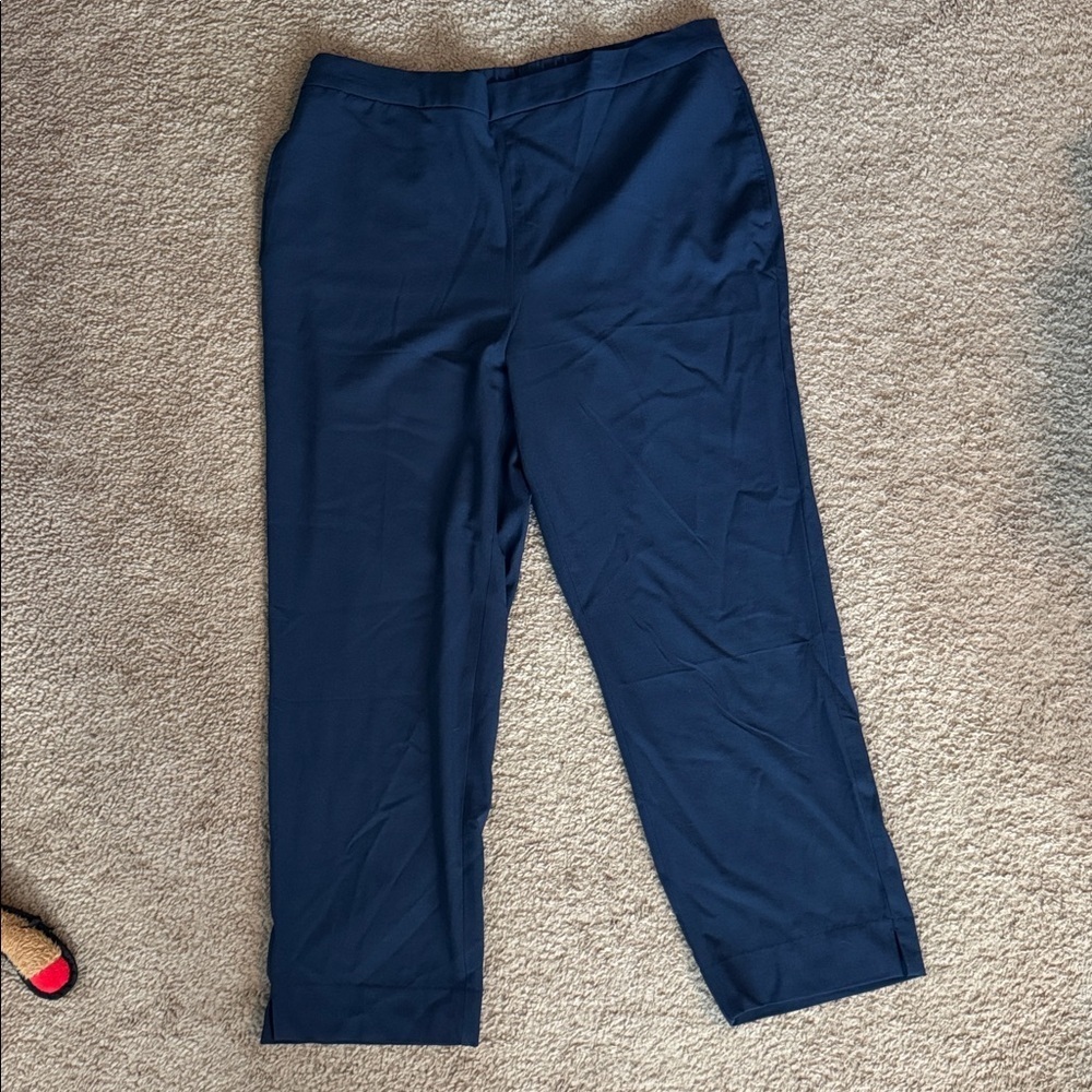 NWT Banana Republic Navy Dress Pants | Size 14 | Classic Stretch Workwear - Picture 4 of 5